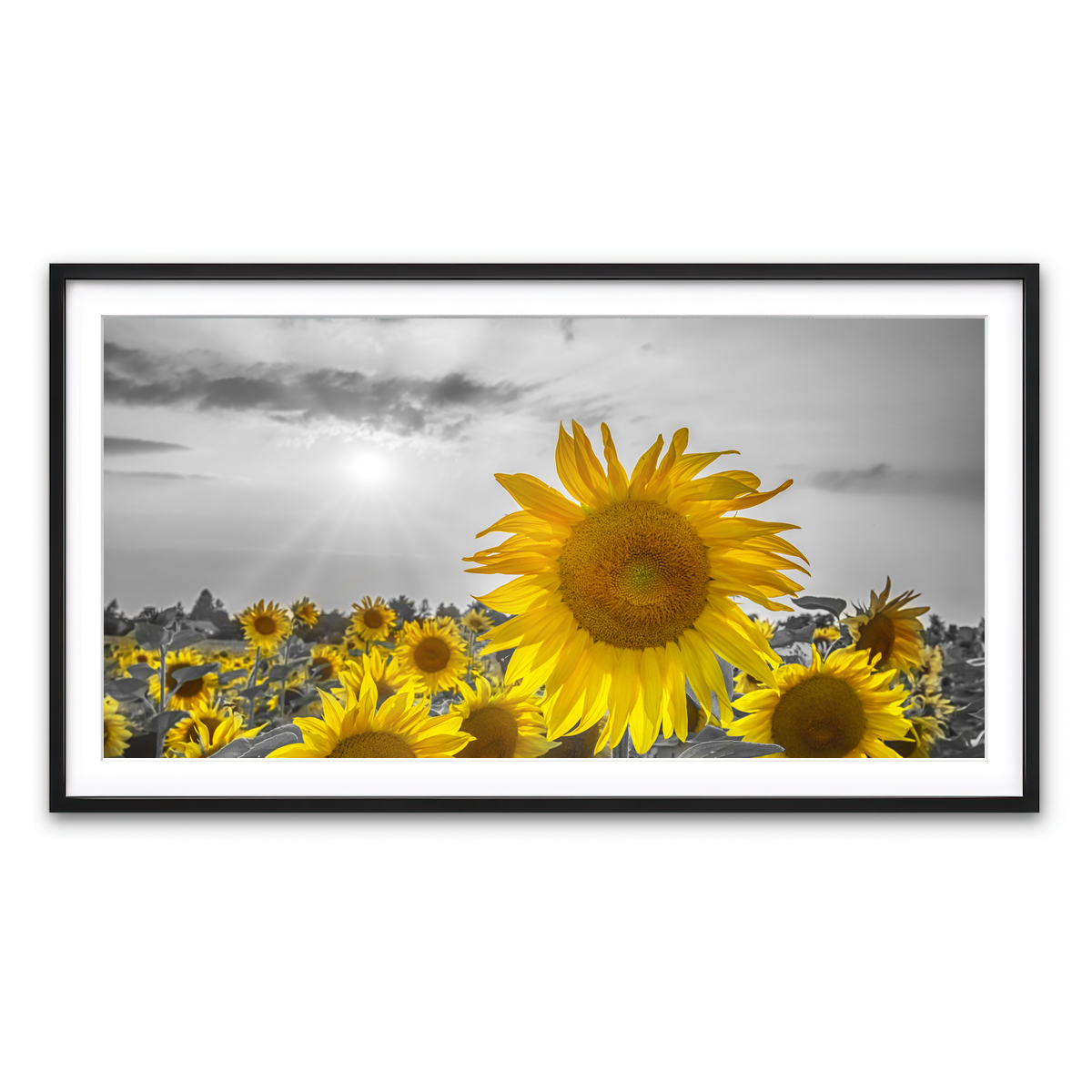 Framed Print 2x1 Black