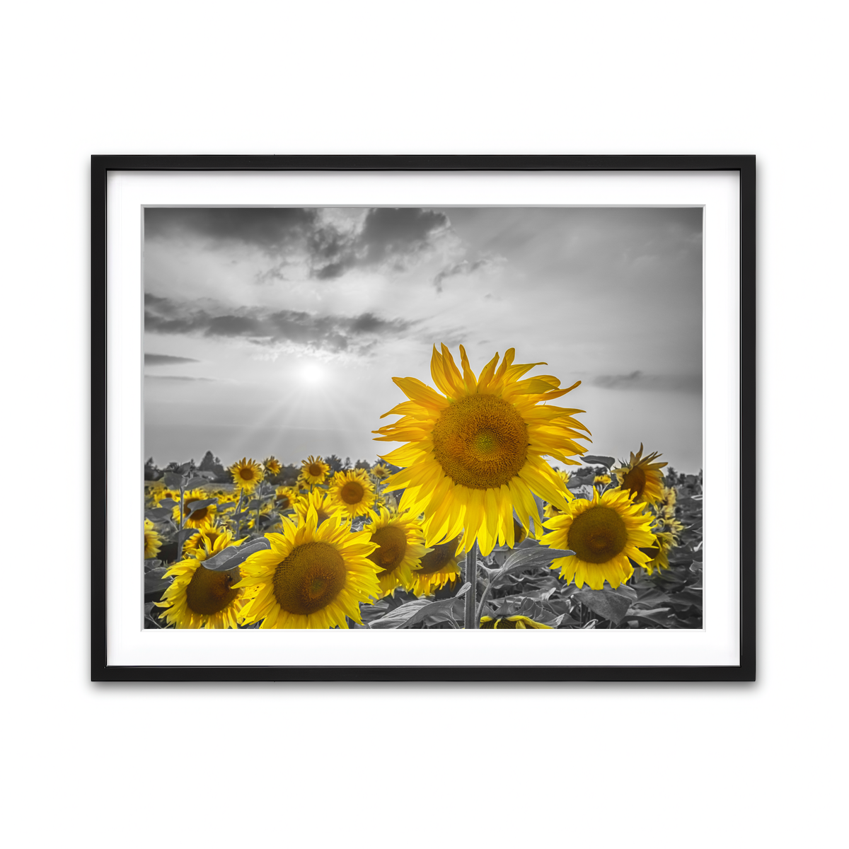 Framed Print 4x3 Black