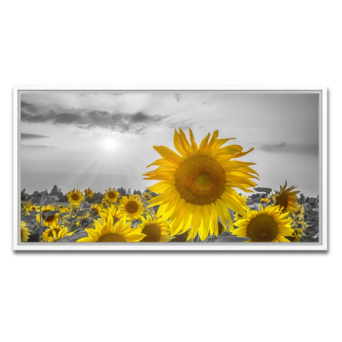 AUTO-MOCKUP WHITE | Sunflower field - yellow color pop | 1 Piece | White Framed Canvas | group=2x1