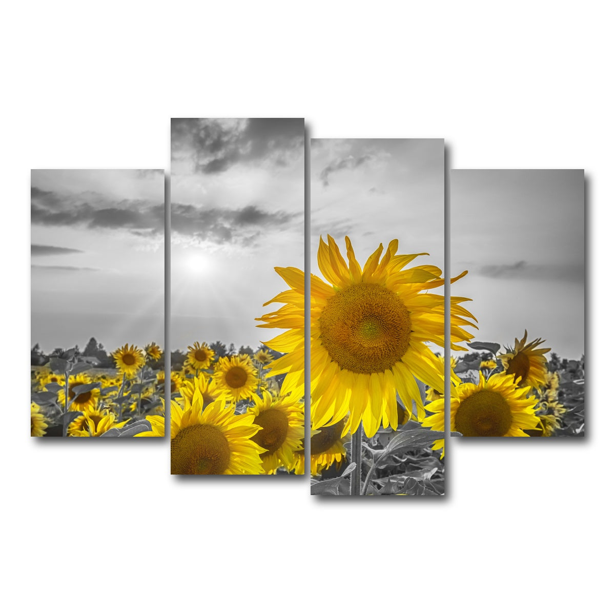 AUTO-MOCKUP WHITE | Sunflower field - yellow color pop | 4 Piece | Gallery Wrap Canvas | group=4_short