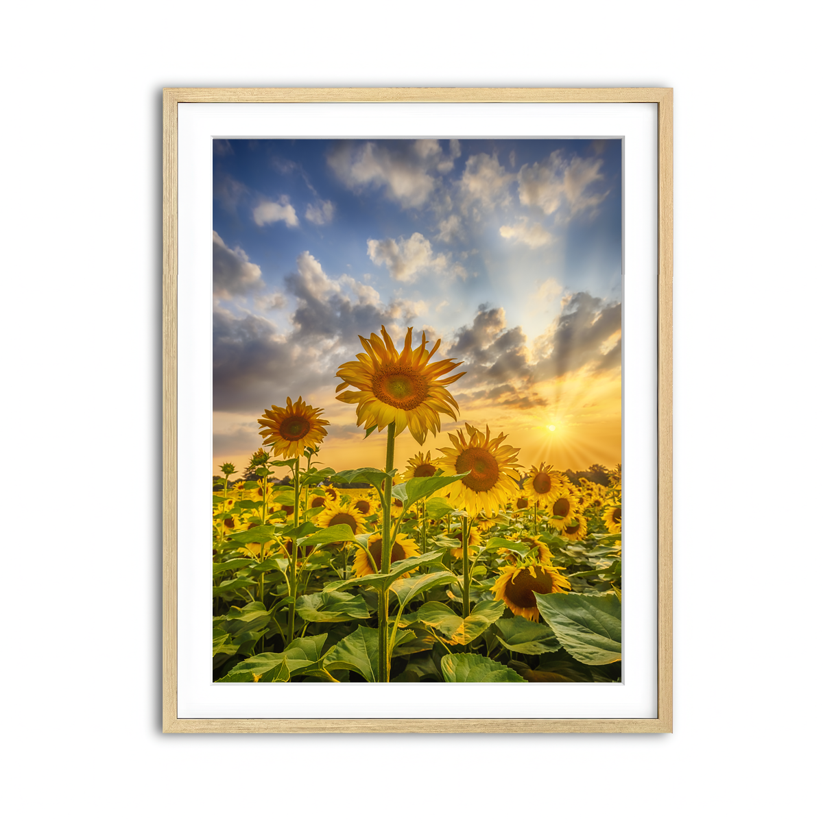 Framed Print 3x4 Natural