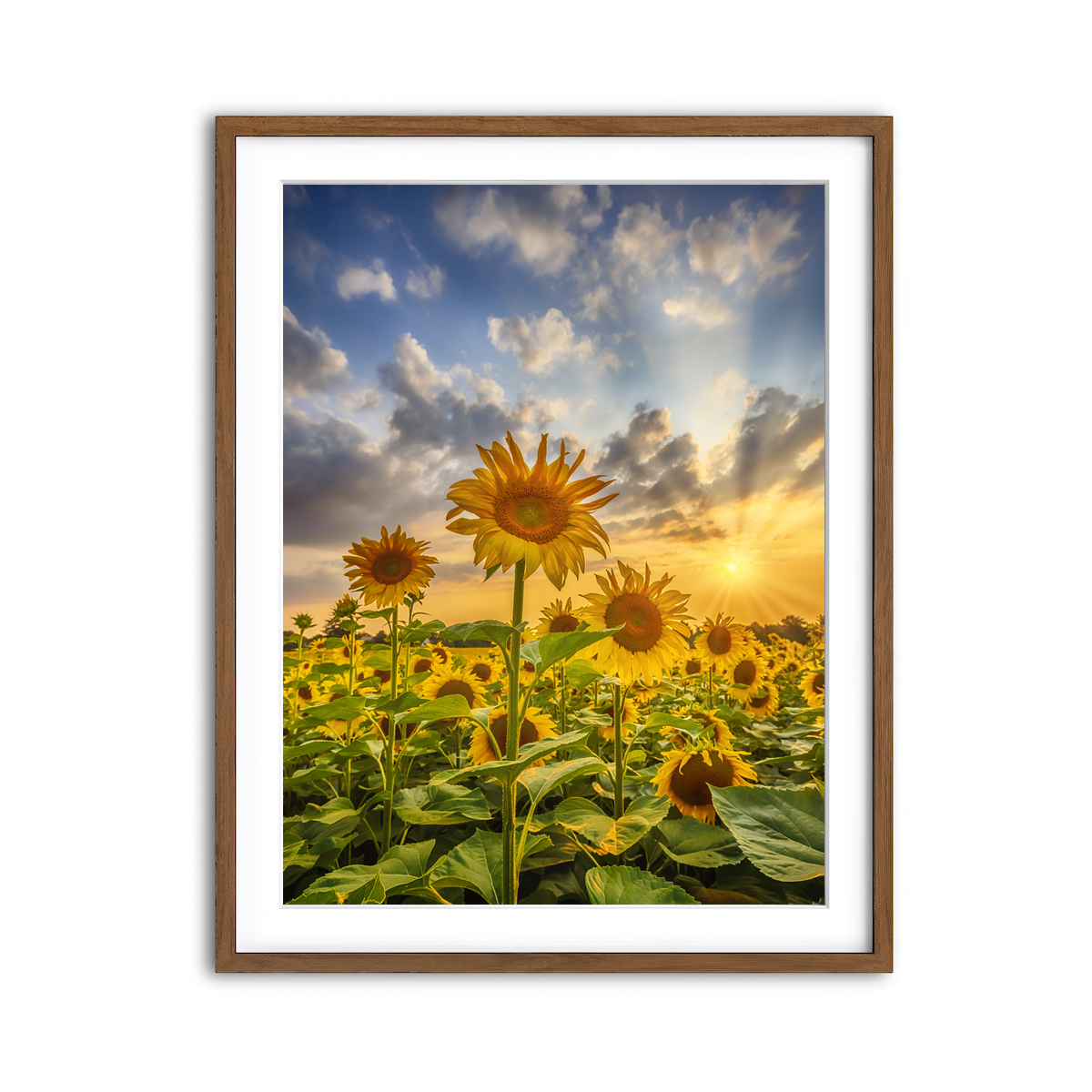 Framed Print 3x4 Walnut