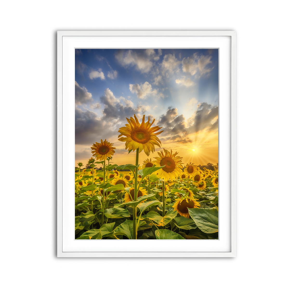Framed Print 3x4 White