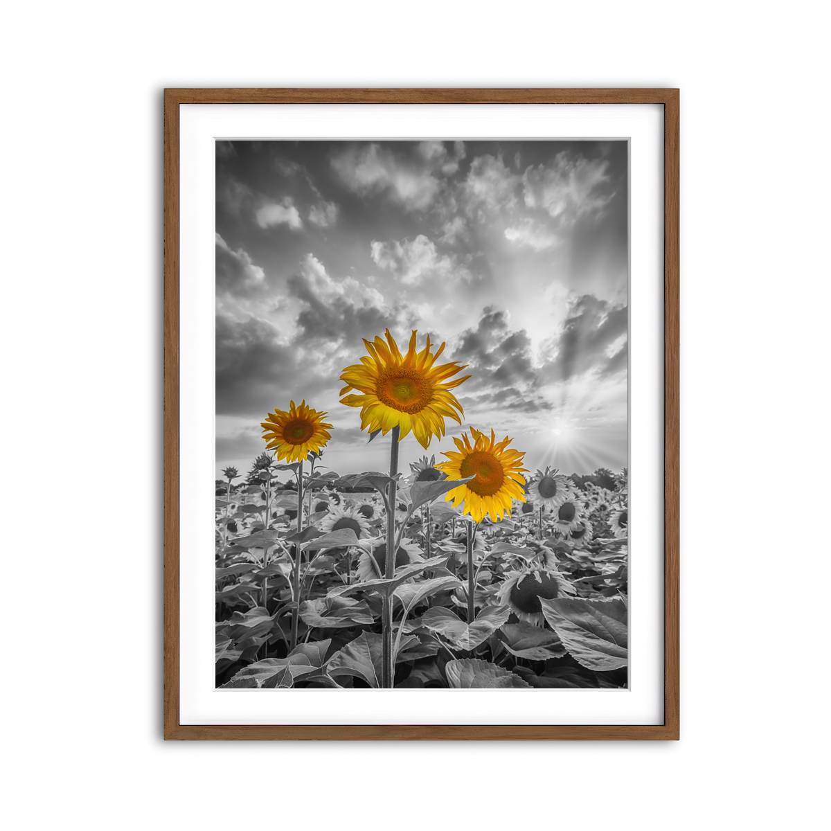 Framed Print 3x4 Walnut