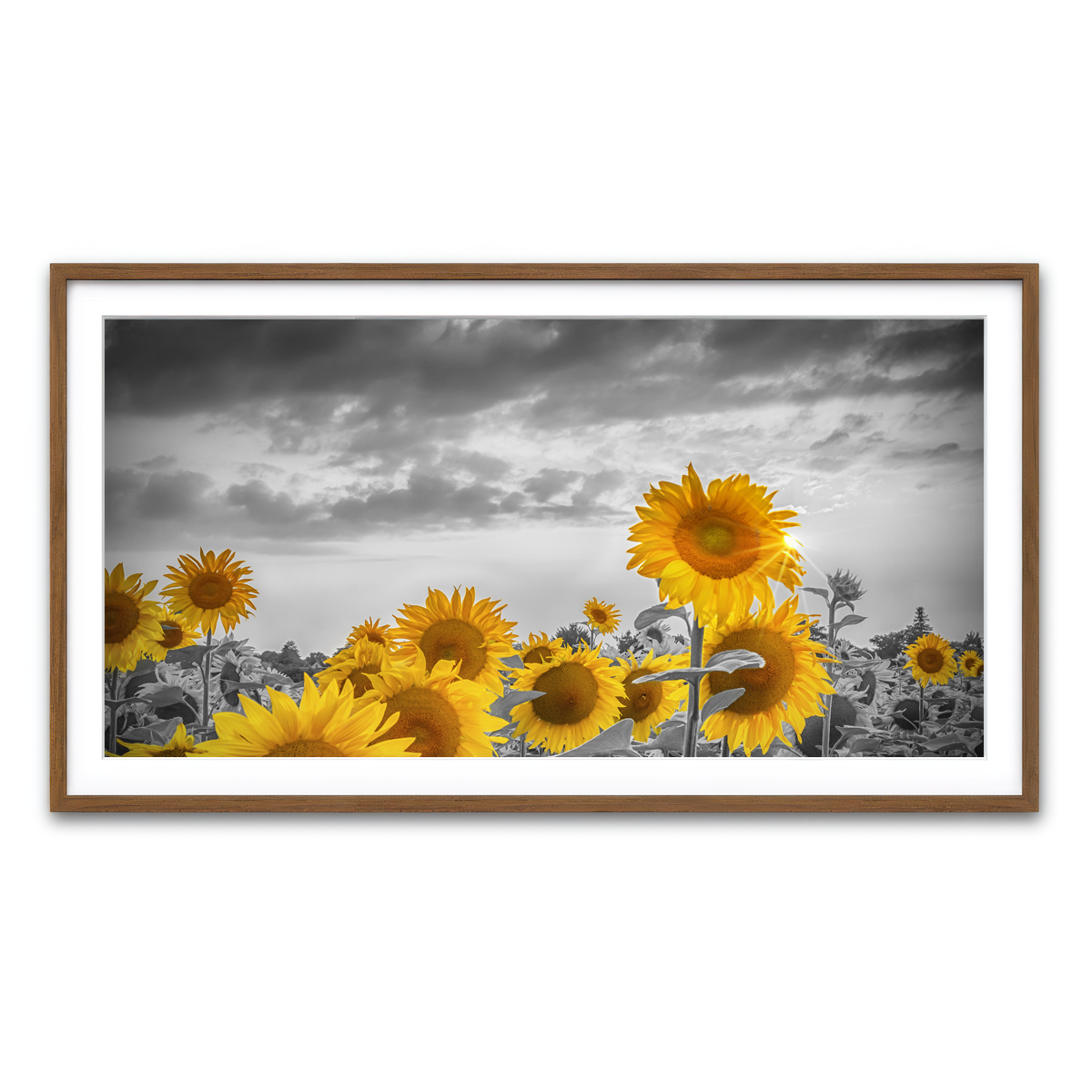 Framed Print 2x1 Walnut