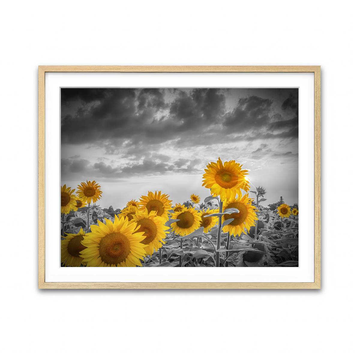 Framed Print 4x3 Natural