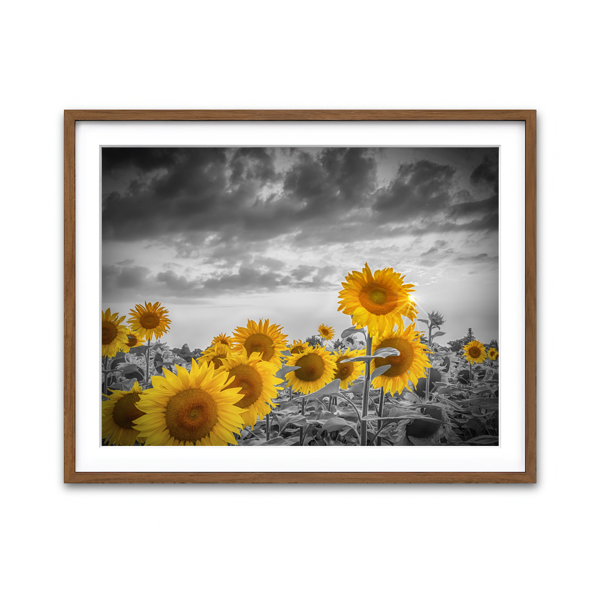 Framed Print 4x3 Walnut