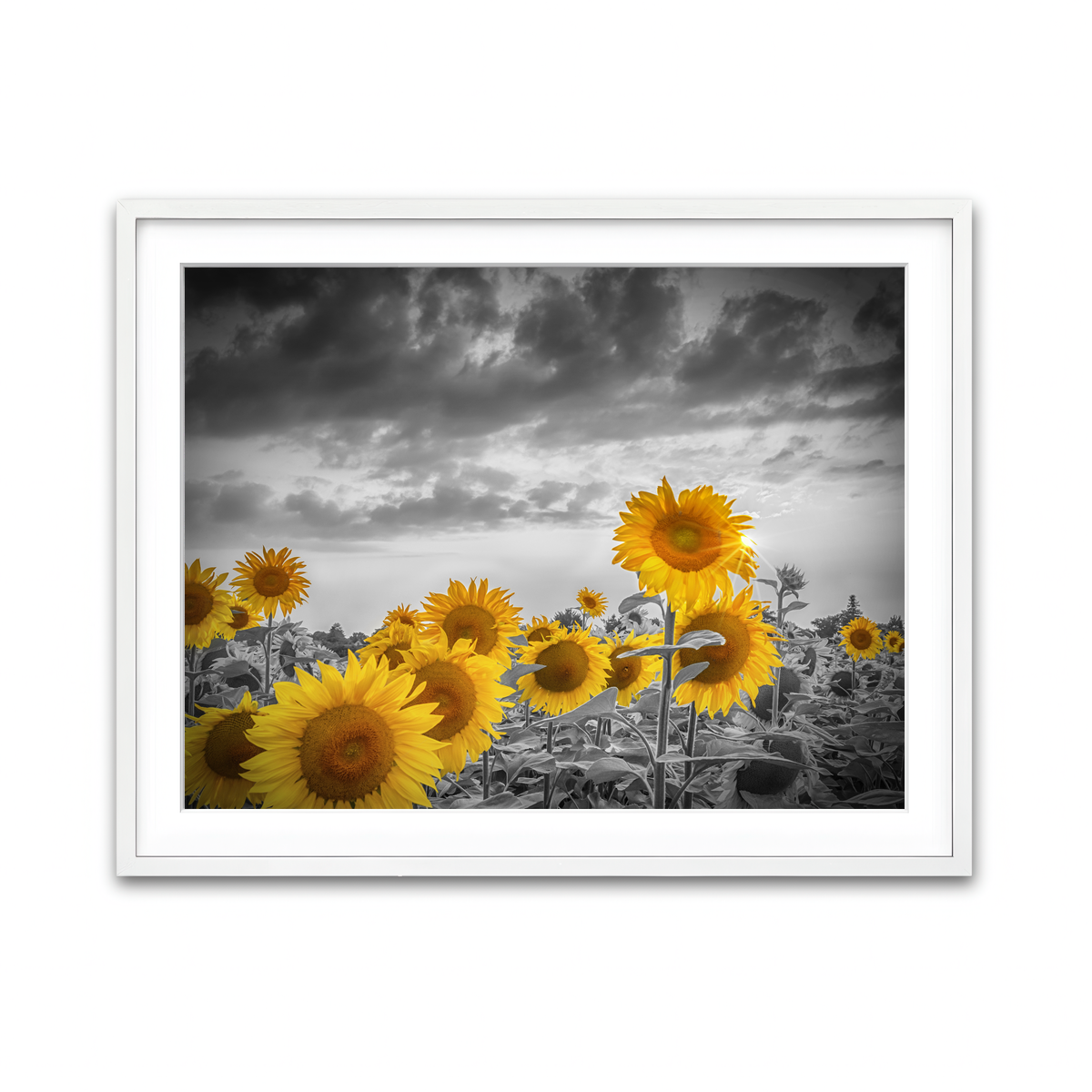 Framed Print 4x3 White