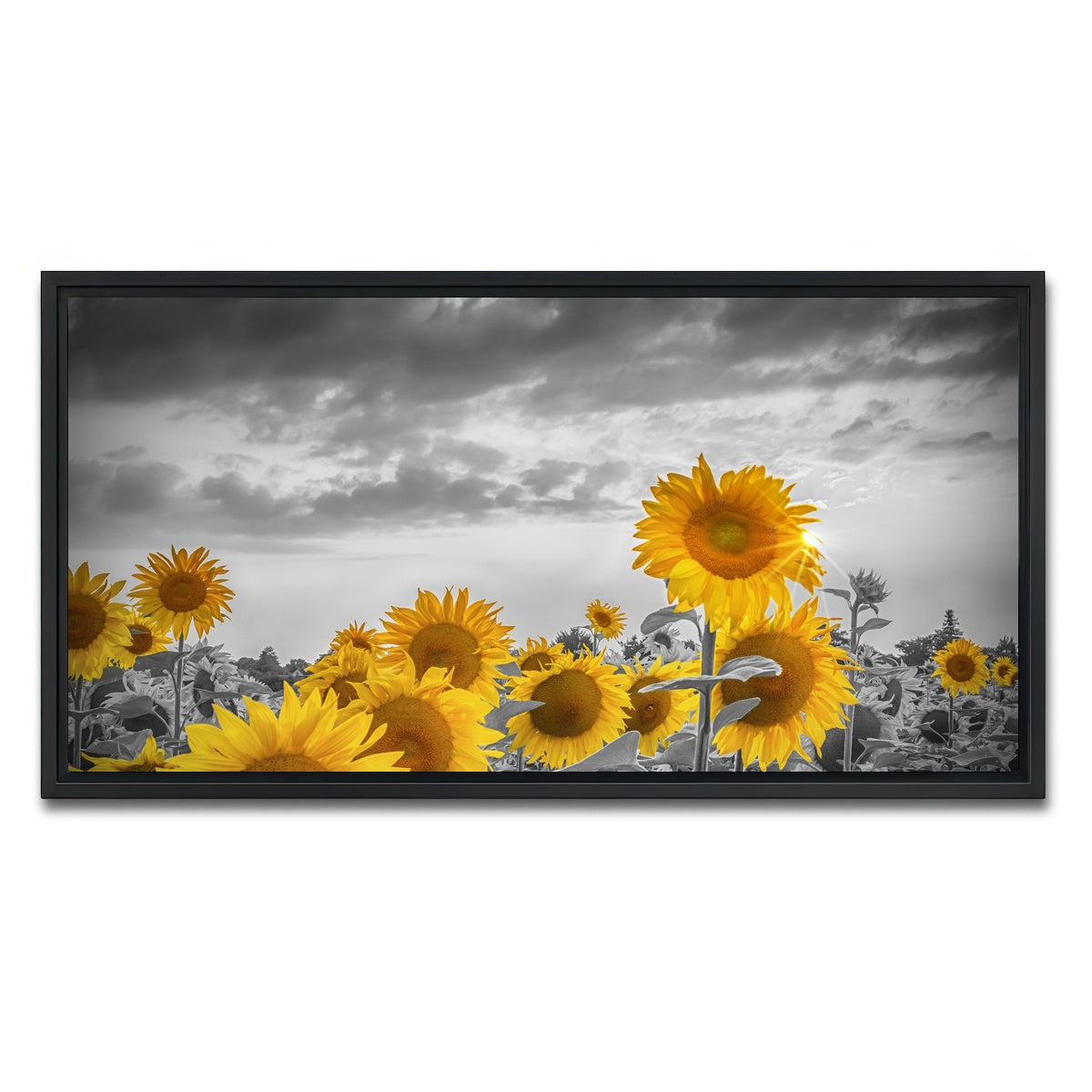 AUTO-MOCKUP WHITE | Sunflowers in the evening | 1 Piece | Black Framed Canvas | group=2x1
