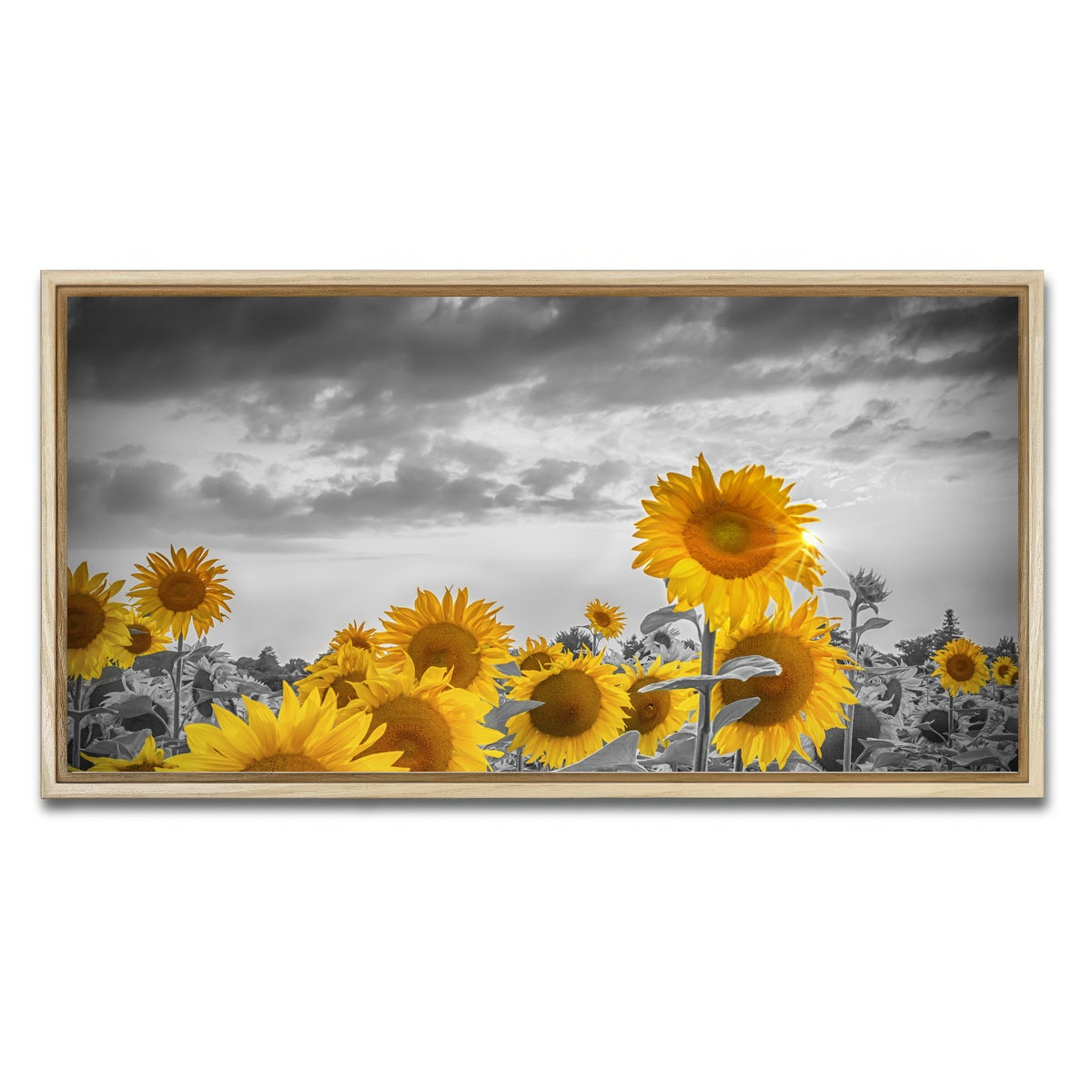 AUTO-MOCKUP WHITE | Sunflowers in the evening | 1 Piece | Natural Framed Canvas | group=2x1