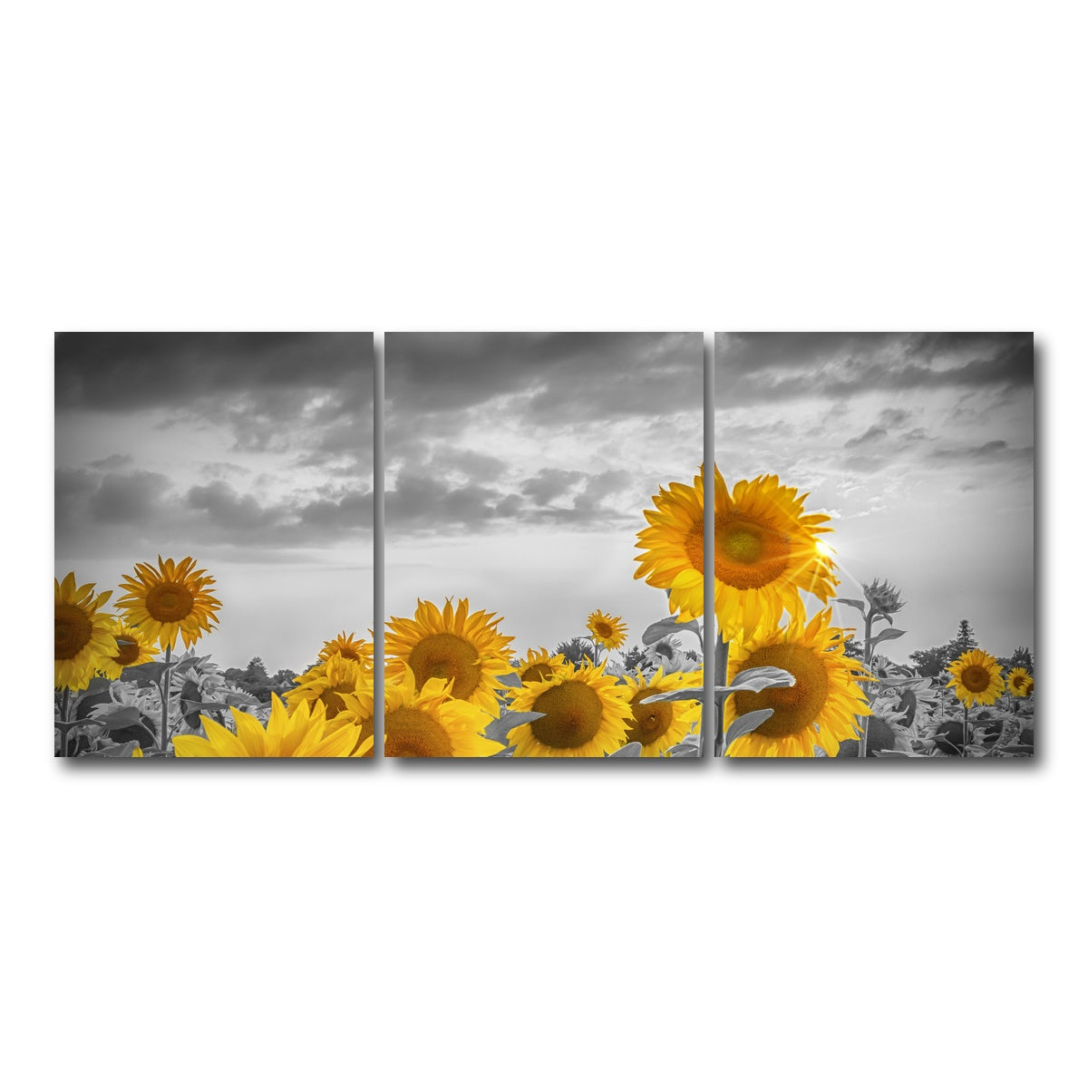 AUTO-MOCKUP WHITE | Sunflowers in the evening | 3 Piece | Gallery Wrap Canvas | group=18x24