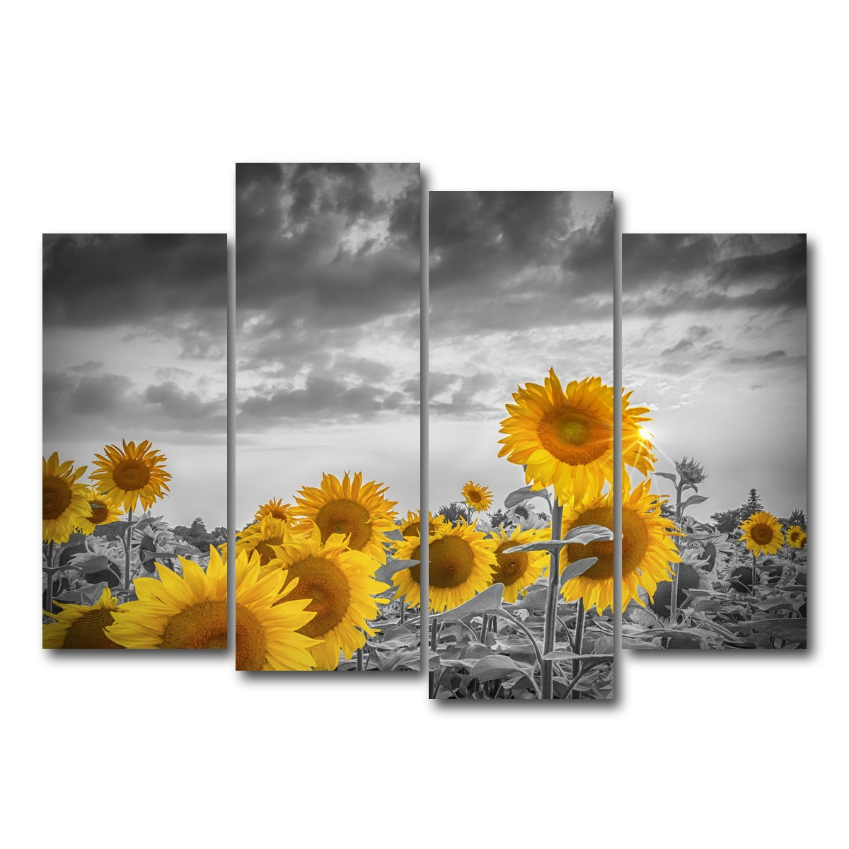 AUTO-MOCKUP WHITE | Sunflowers in the evening | 4 Piece | Gallery Wrap Canvas | group=4_normal