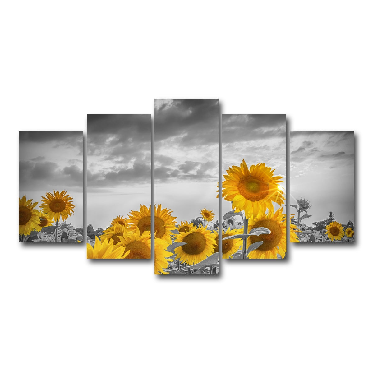 AUTO-MOCKUP WHITE | Sunflowers in the evening | 5 Piece | Gallery Wrap Canvas | group=5_normal