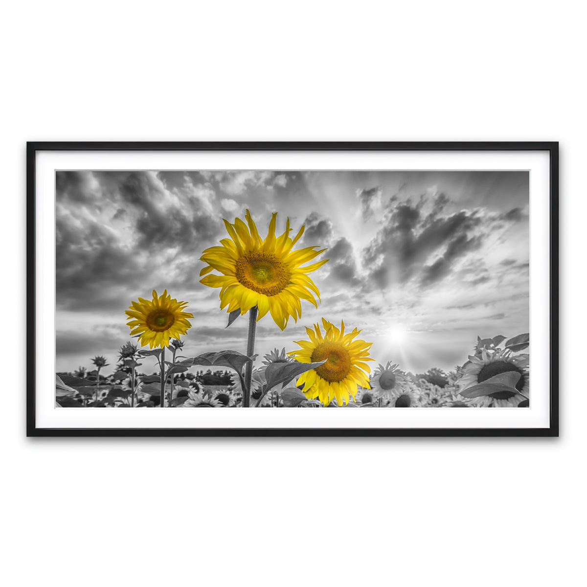 Framed Print 2x1 Black