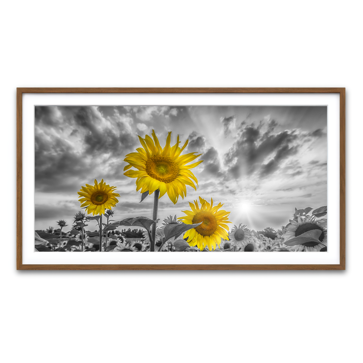 Framed Print 2x1 Walnut