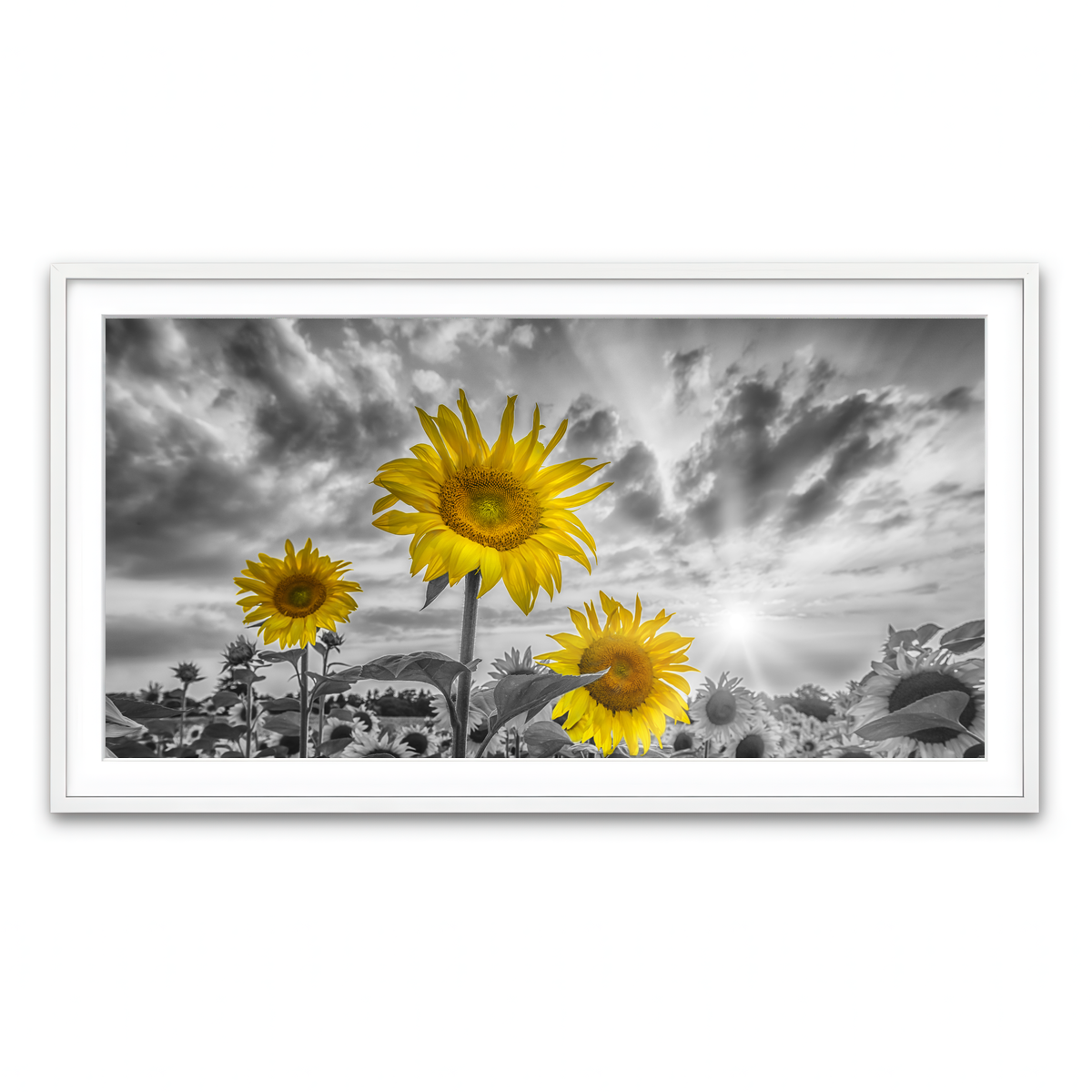 Framed Print 2x1 White