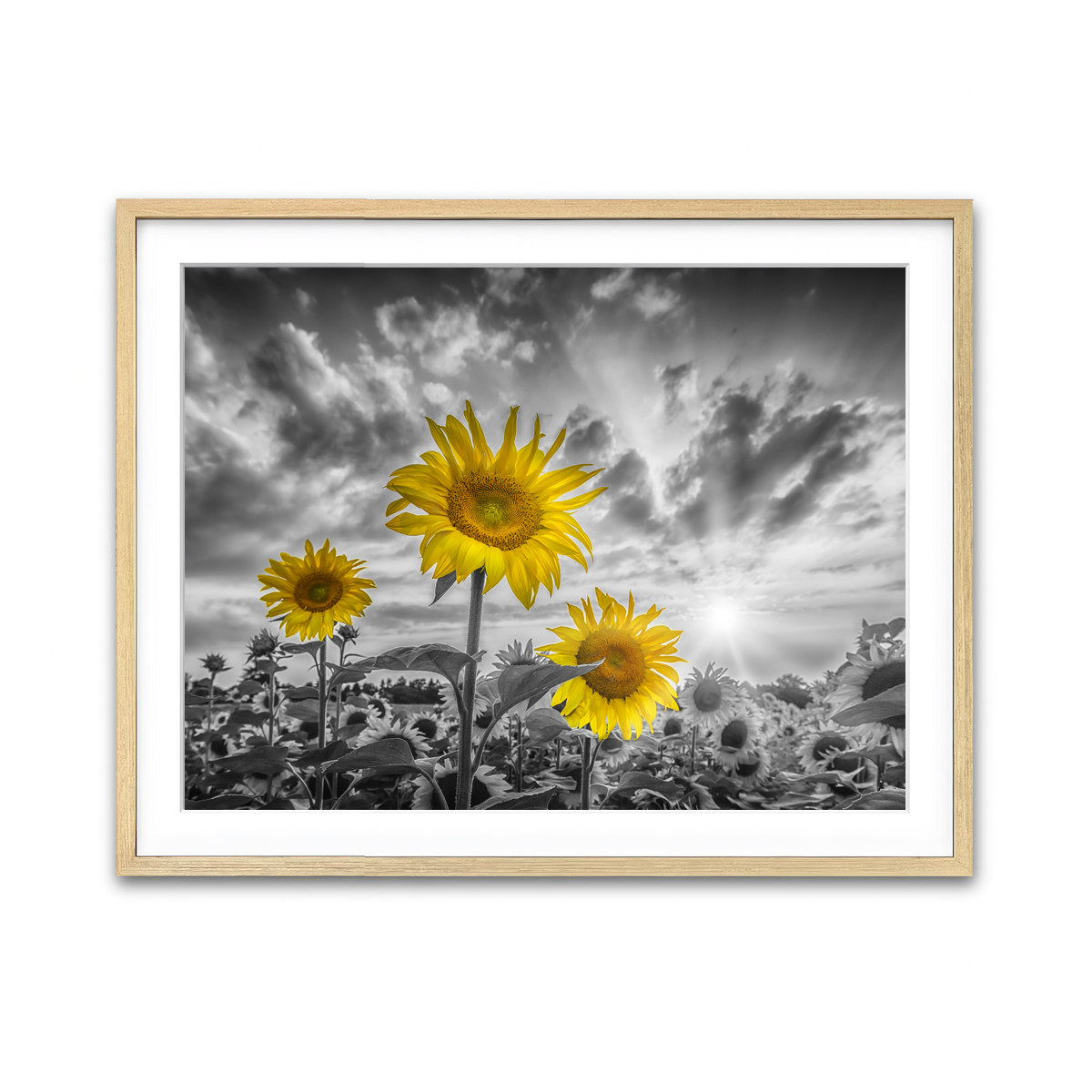 Framed Print 4x3 Natural