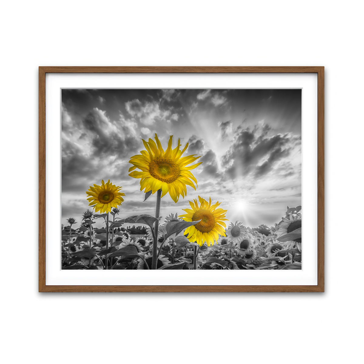 Framed Print 4x3 Walnut