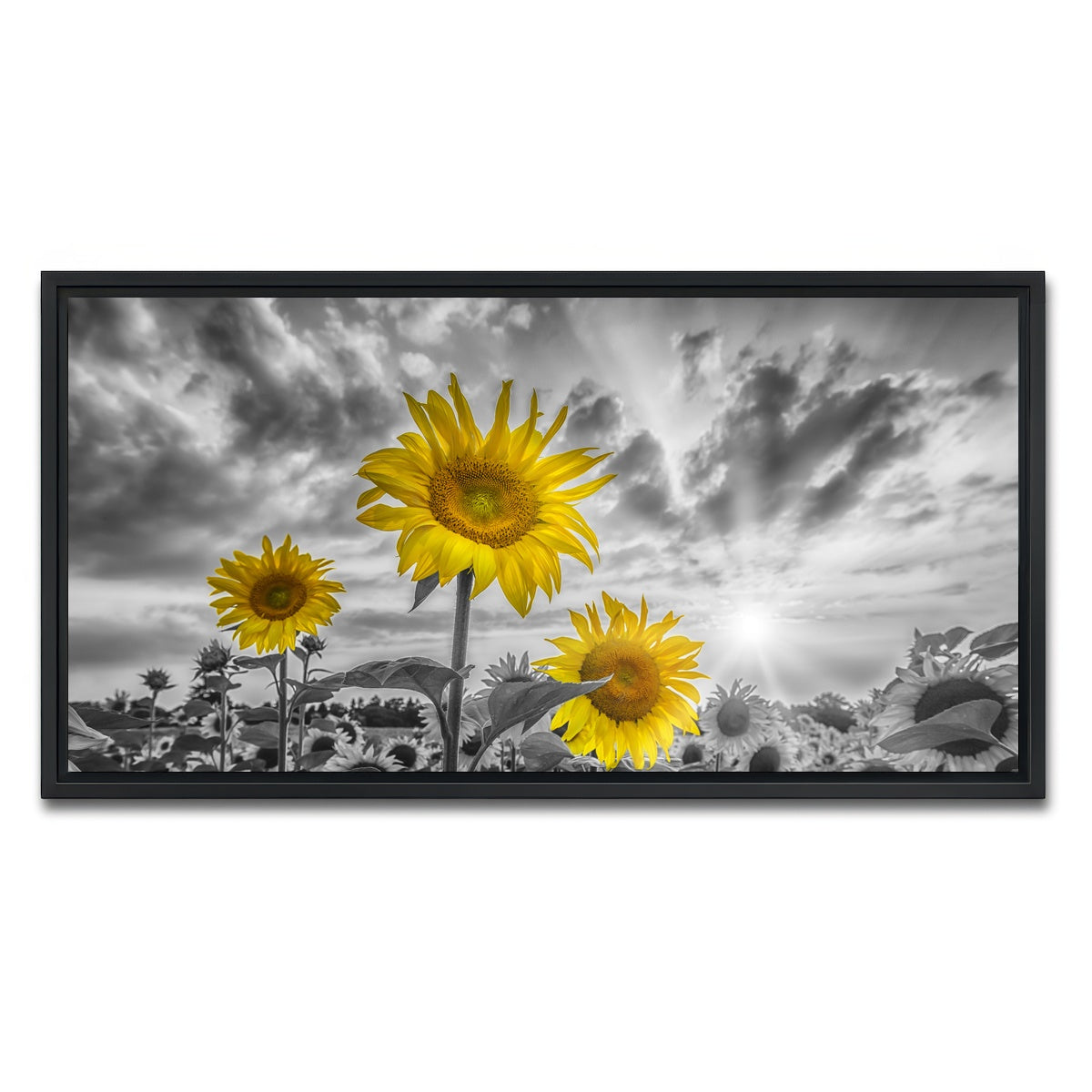 AUTO-MOCKUP WHITE | Sunflowers yellow color pop | 1 Piece | Black Framed Canvas | group=2x1