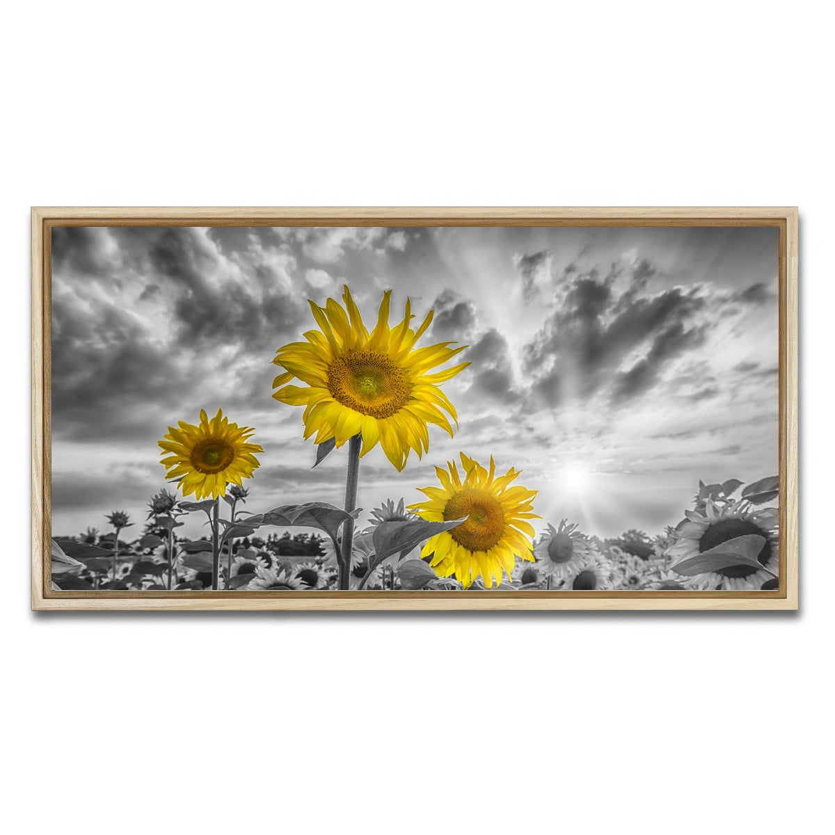 AUTO-MOCKUP WHITE | Sunflowers yellow color pop | 1 Piece | Natural Framed Canvas | group=2x1