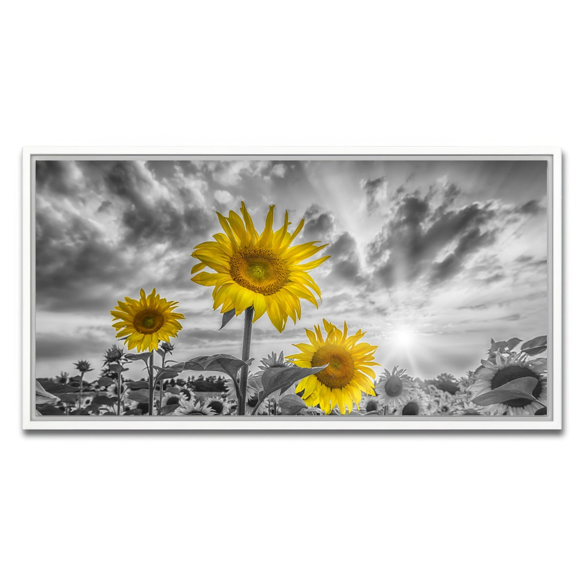 AUTO-MOCKUP WHITE | Sunflowers yellow color pop | 1 Piece | White Framed Canvas | group=2x1