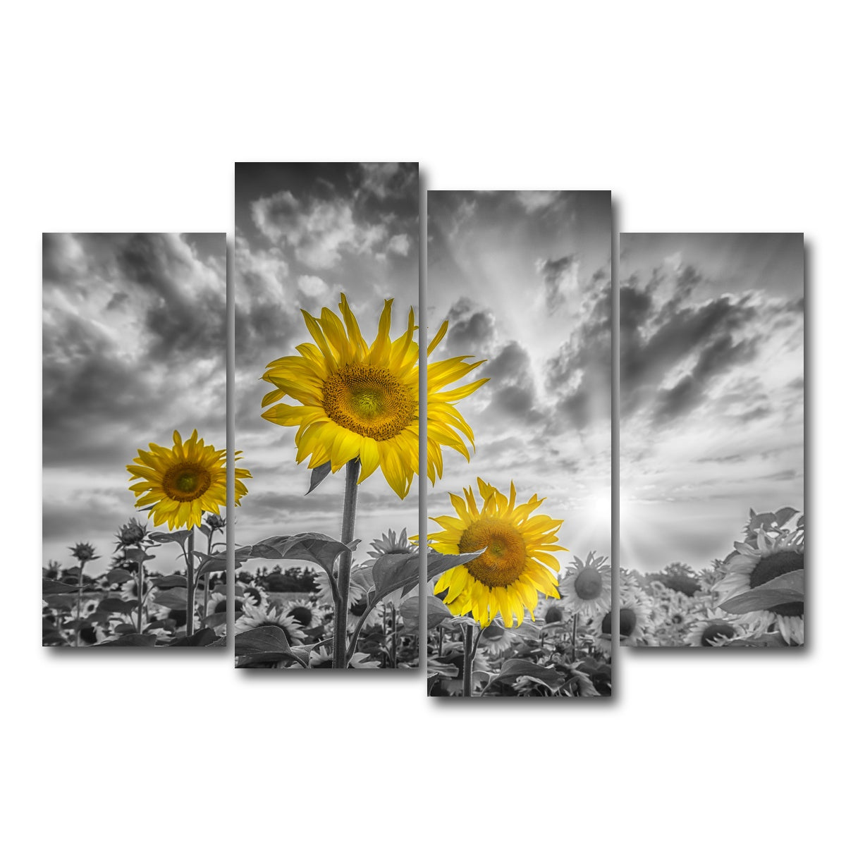 AUTO-MOCKUP WHITE | Sunflowers yellow color pop | 4 Piece | Gallery Wrap Canvas | group=4_normal
