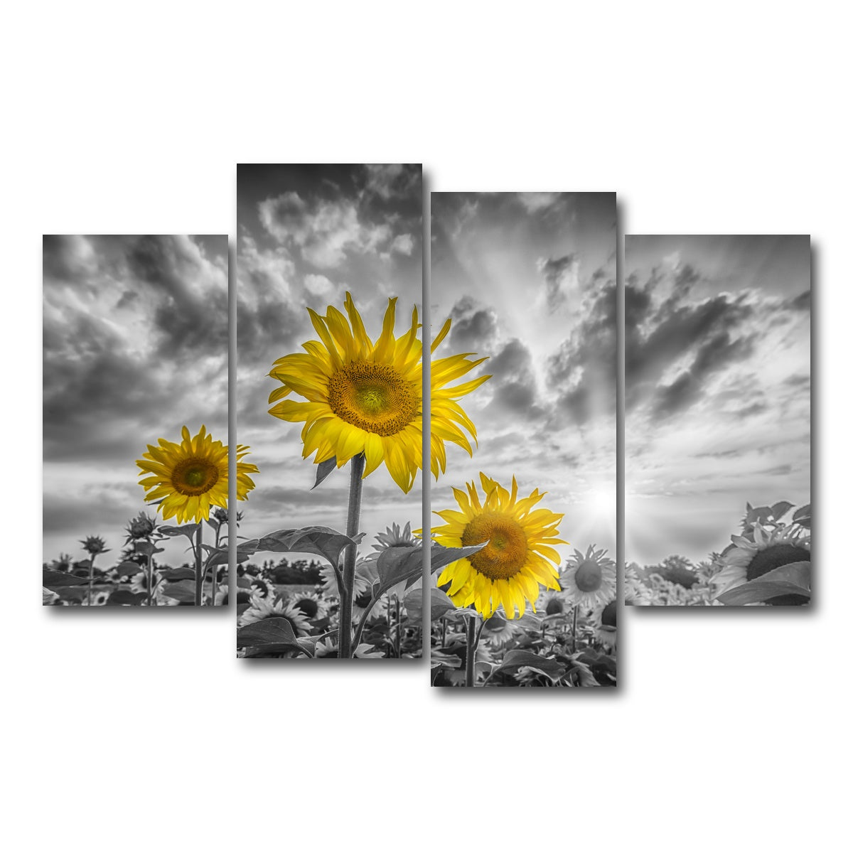 AUTO-MOCKUP WHITE | Sunflowers yellow color pop | 4 Piece | Gallery Wrap Canvas | group=4_short