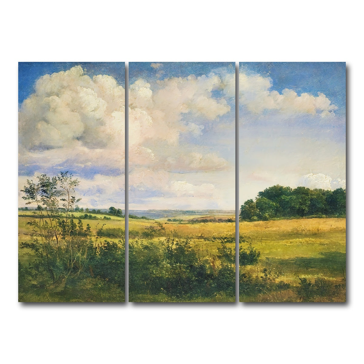 AUTO-MOCKUP WHITE | Sunlit Clouds | 3 Piece | Gallery Wrap Canvas | group=8x18