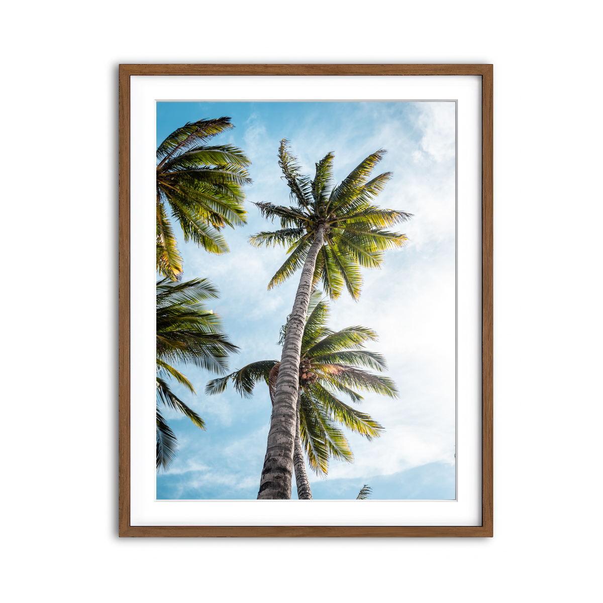 Framed Print 3x4 Walnut
