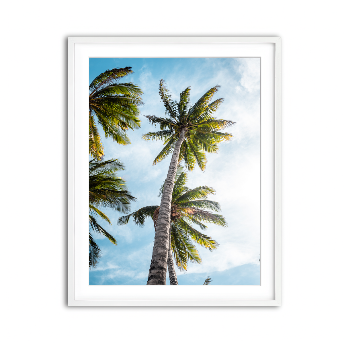 Framed Print 3x4 White