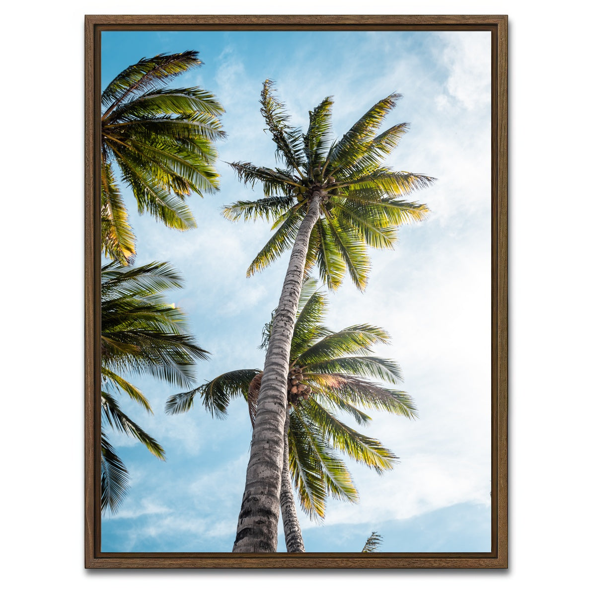 AUTO-MOCKUP WHITE | Sunny Palms | 1 Piece | Walnut Framed Canvas | group=3x4