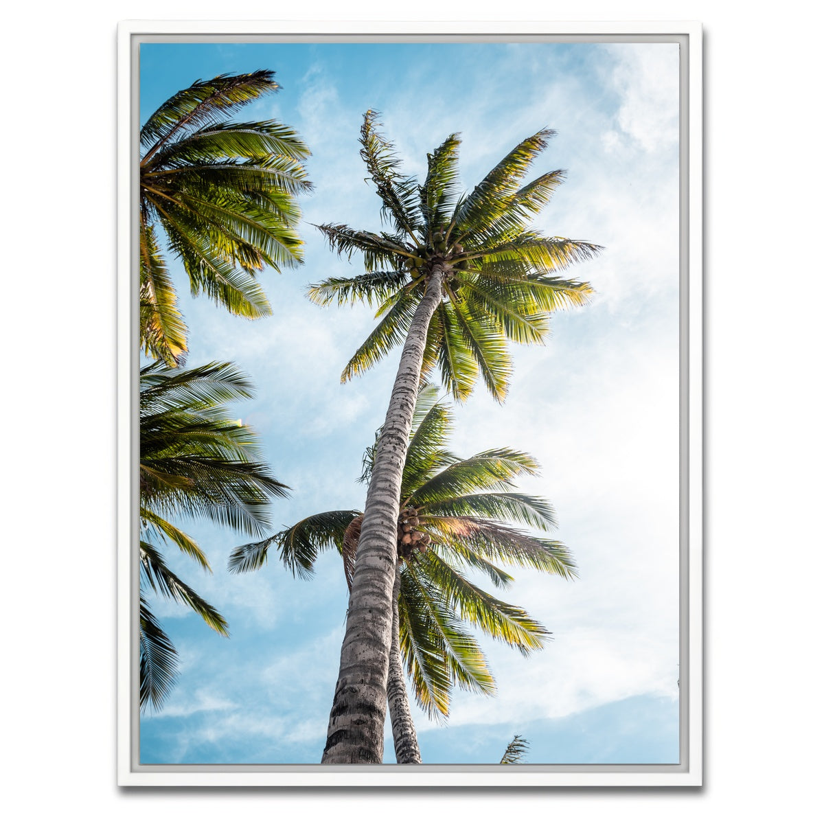 AUTO-MOCKUP WHITE | Sunny Palms | 1 Piece | White Framed Canvas | group=3x4