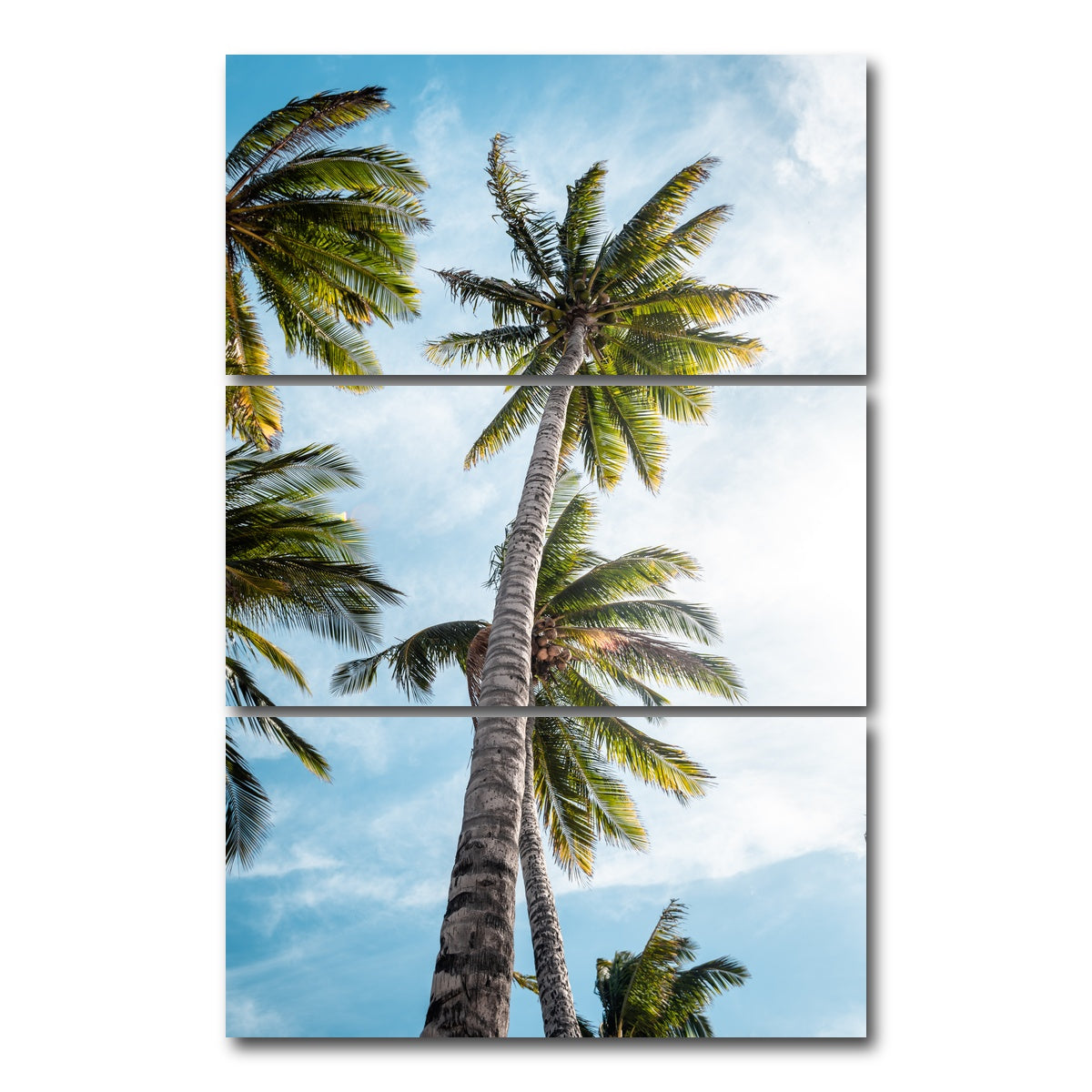 AUTO-MOCKUP WHITE | Sunny Palms | 3 Piece | Gallery Wrap Canvas | group=12x24_stacked