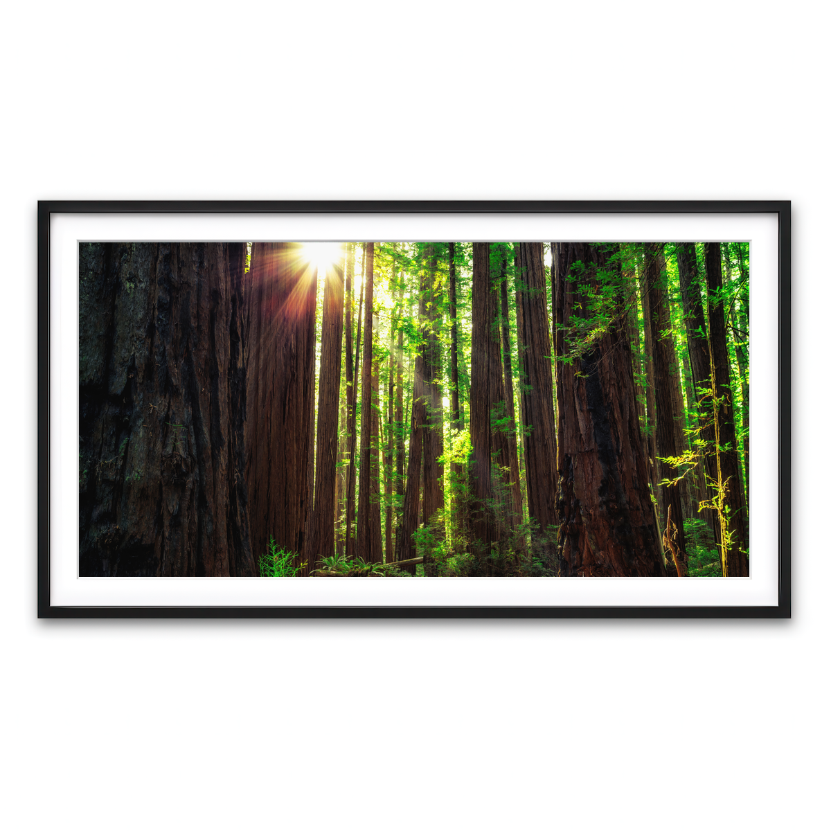 Framed Print 2x1 Black