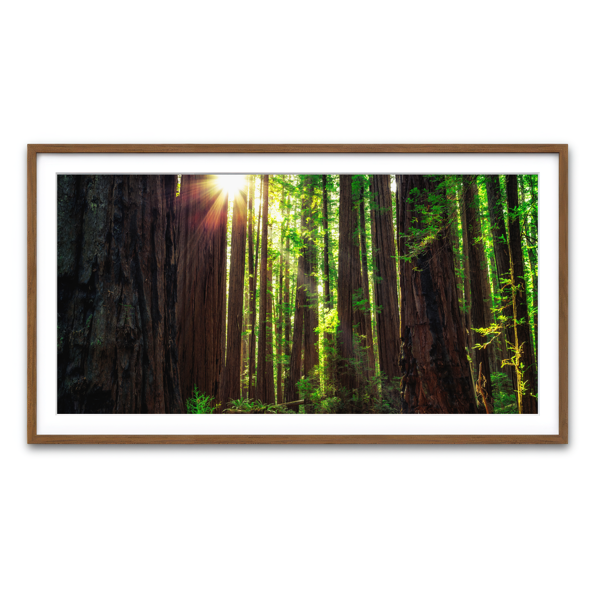 Framed Print 2x1 Walnut