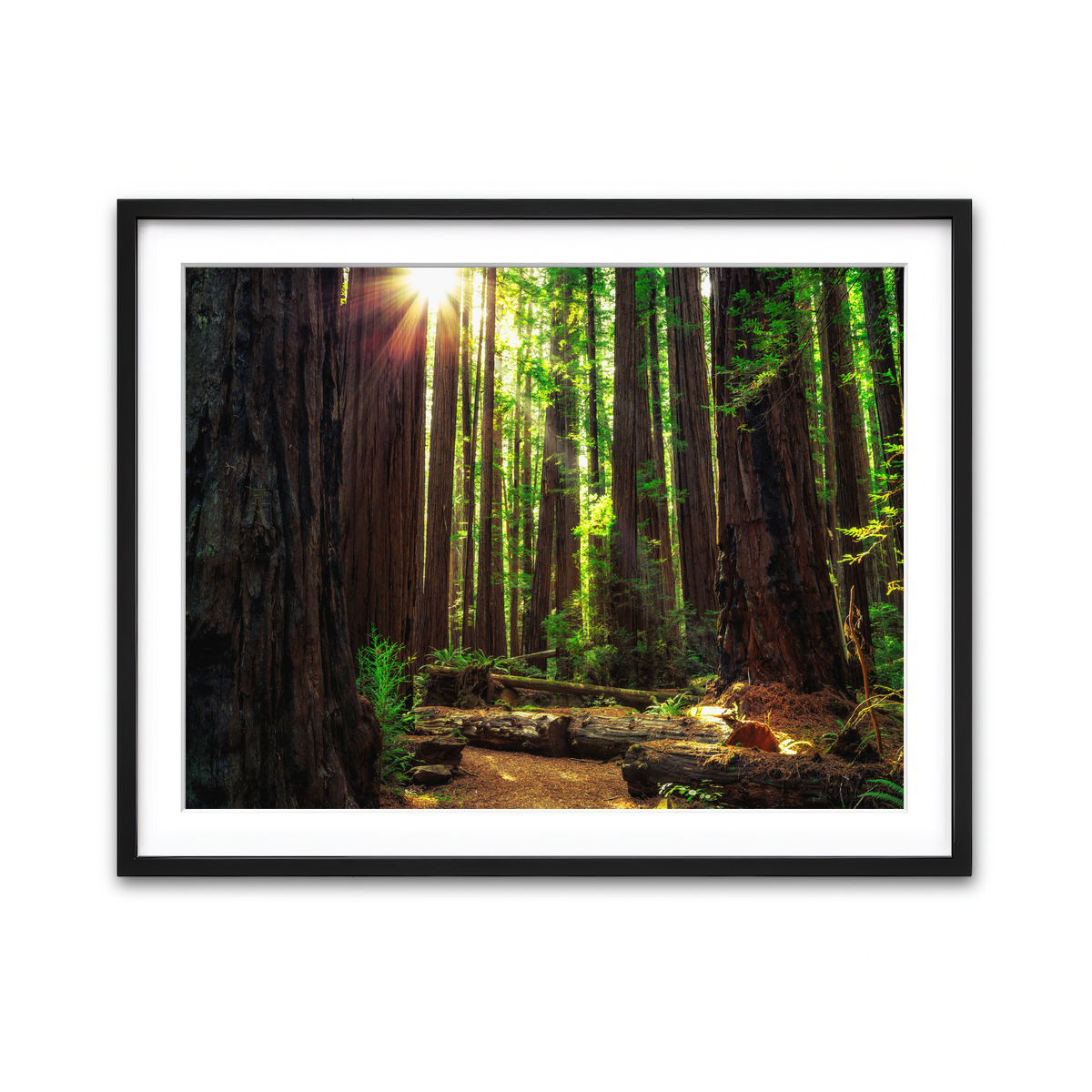 Framed Print 4x3 Black