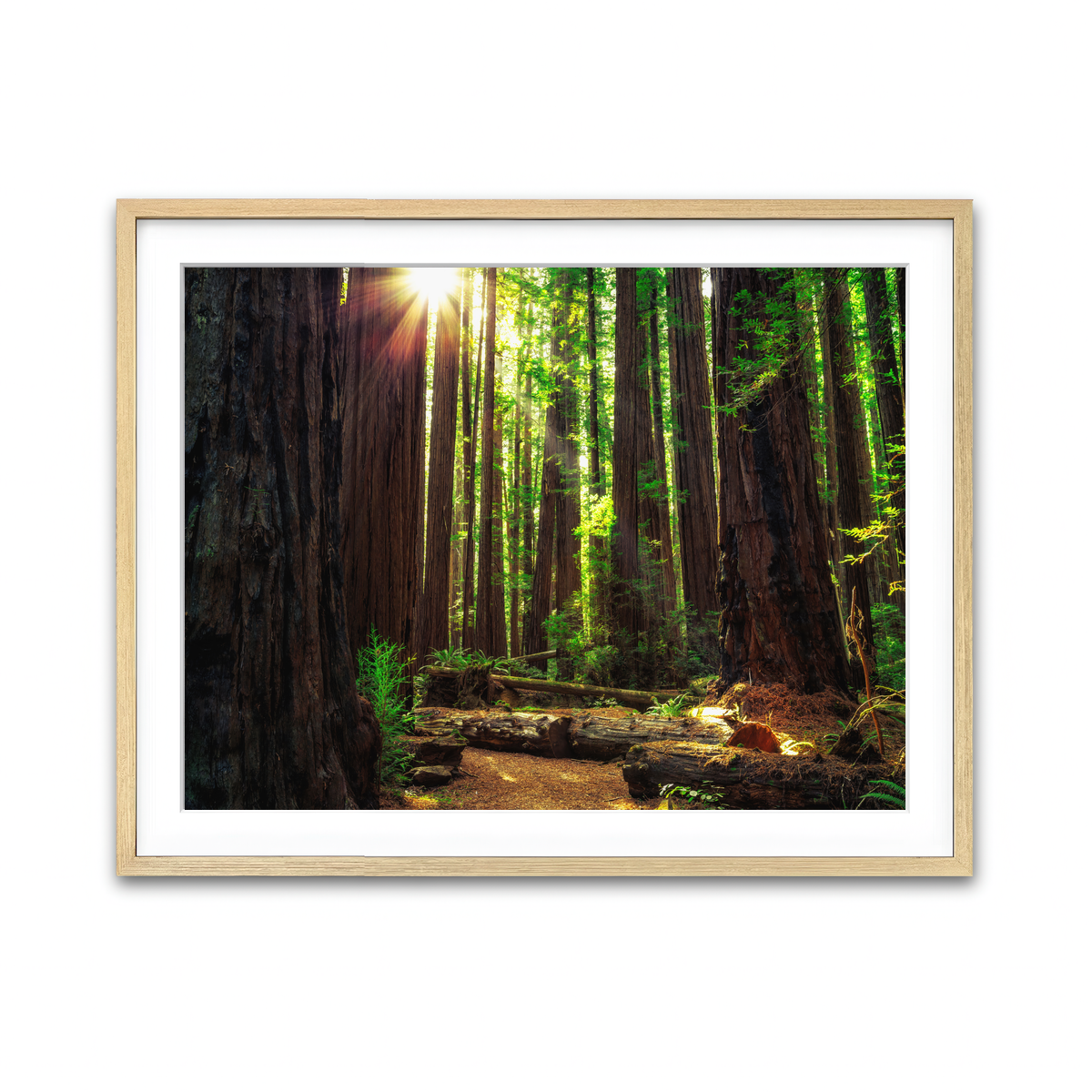 Framed Print 4x3 Natural