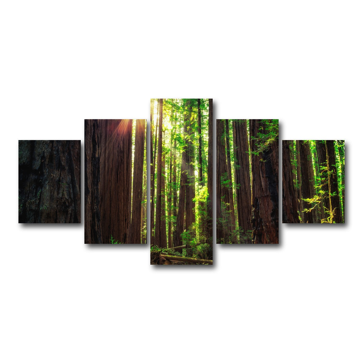 AUTO-MOCKUP WHITE | Sunrise in the Redwoods | 5 Piece | Gallery Wrap Canvas | group=5_short