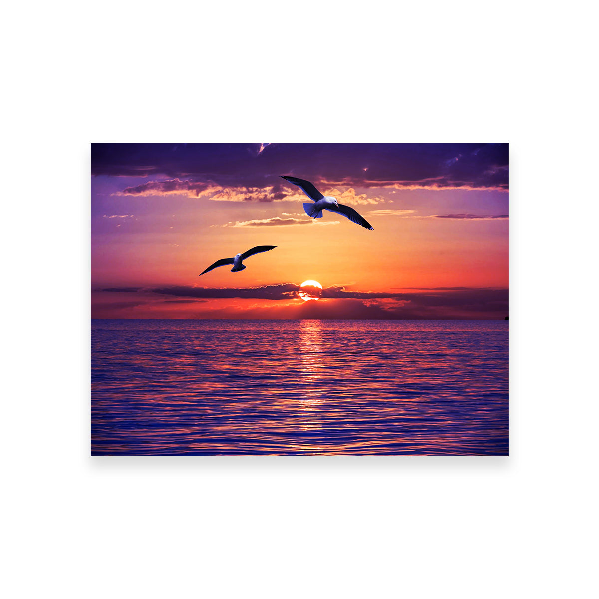 Sunset Seagulls Wall Art