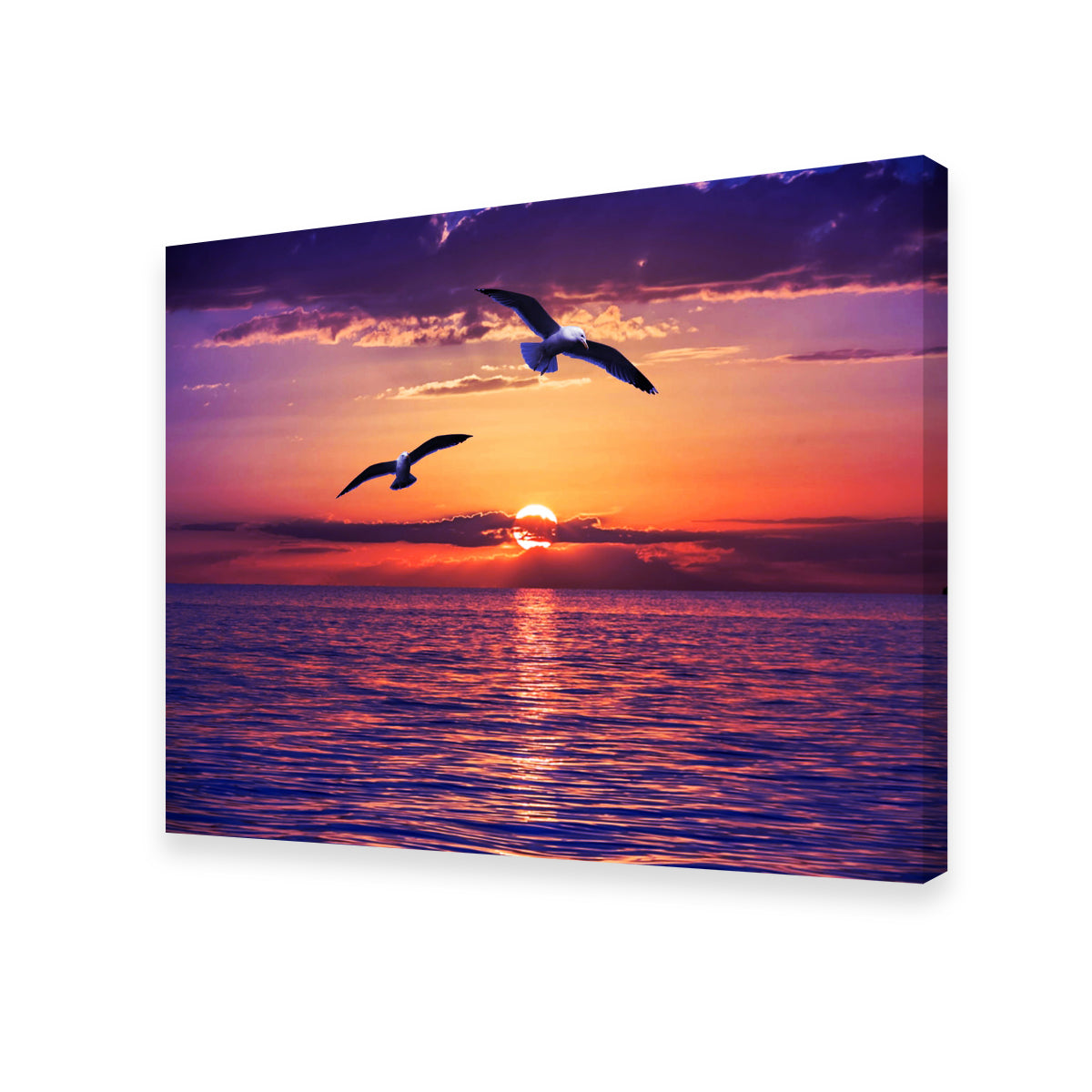 Sunset Seagulls Wall Art