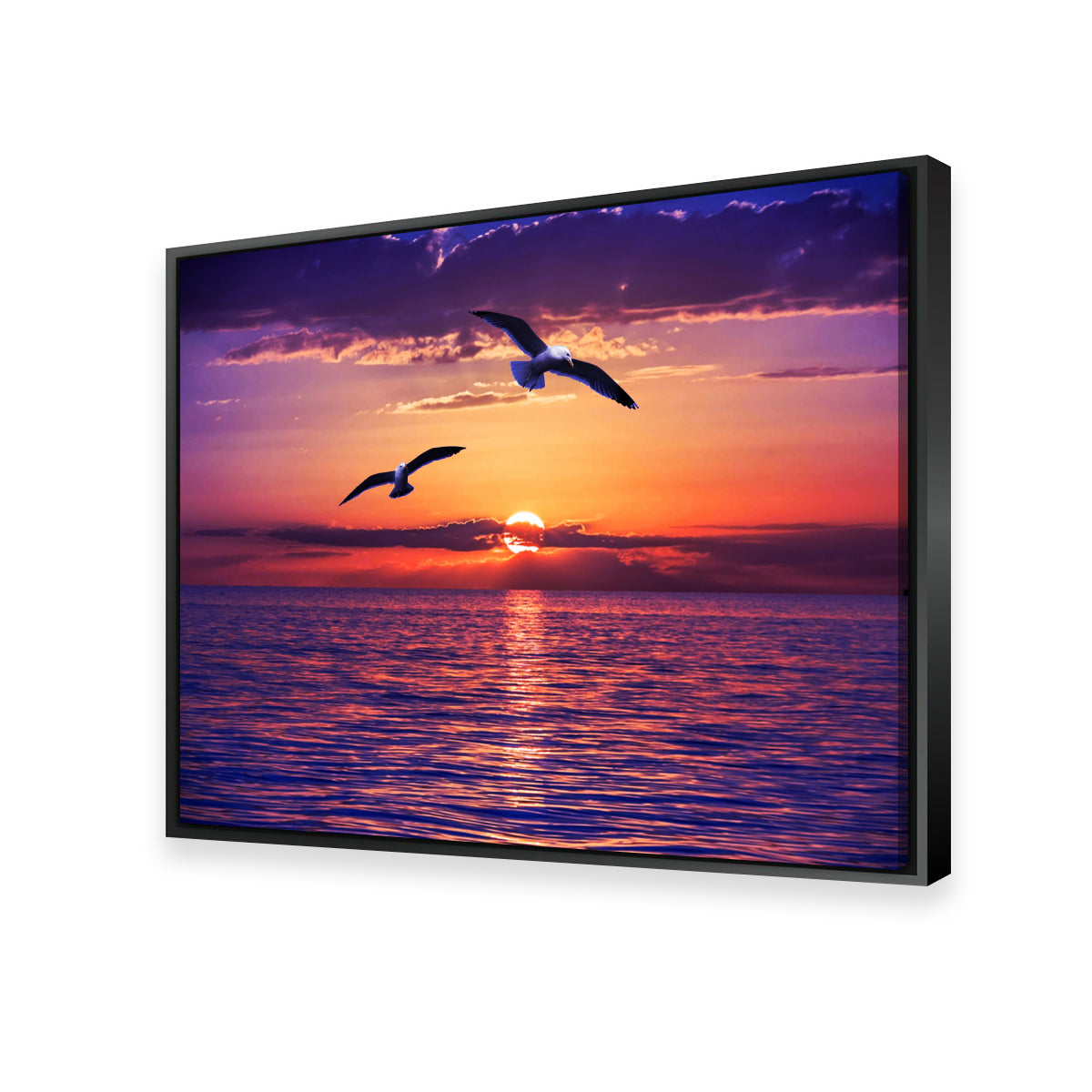 Sunset Seagulls Wall Art