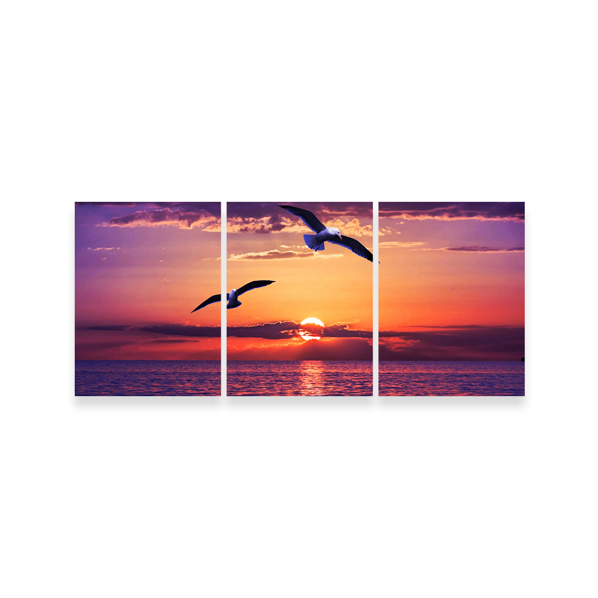 Sunset Seagulls Wall Art