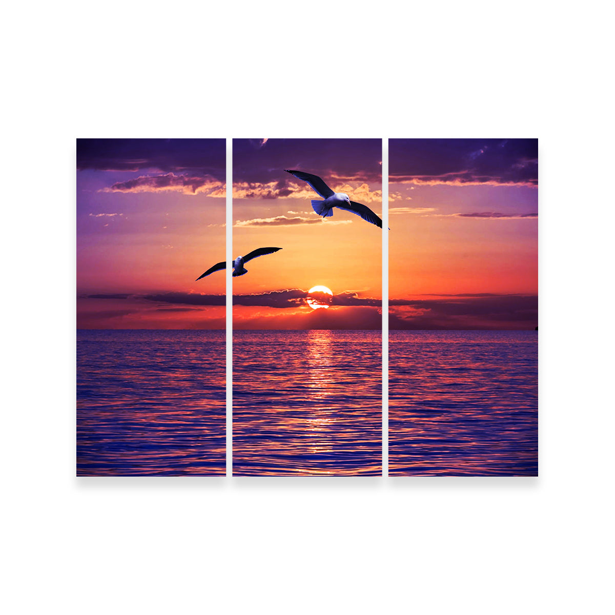 Sunset Seagulls Wall Art