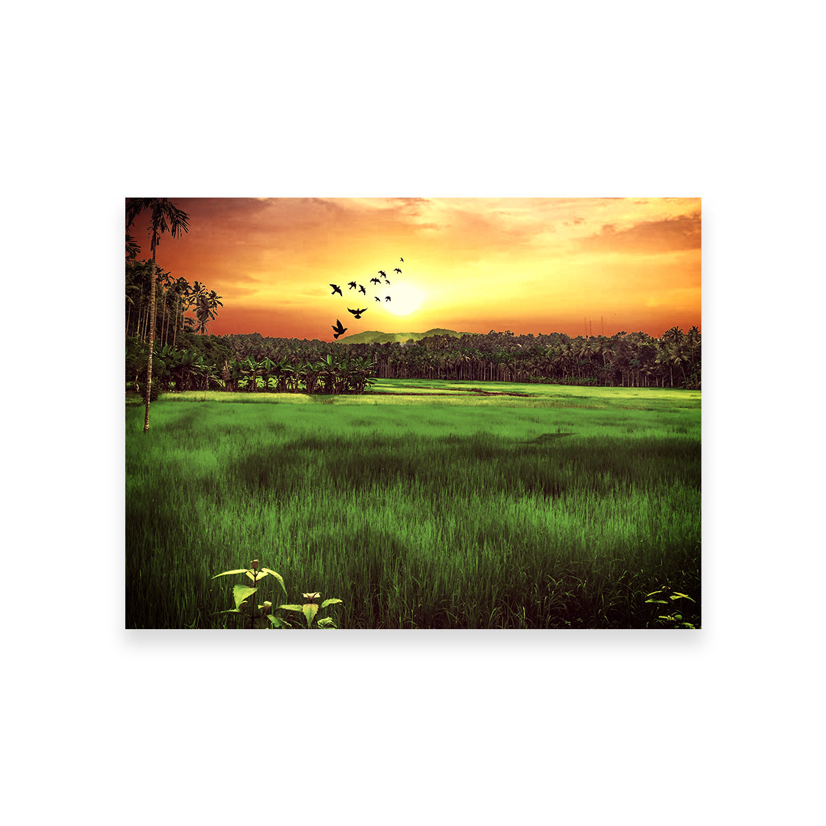 Sunset Landscape Wall Art