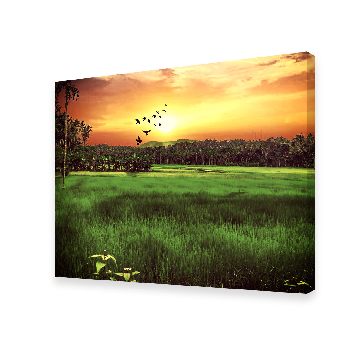 Sunset Landscape Wall Art