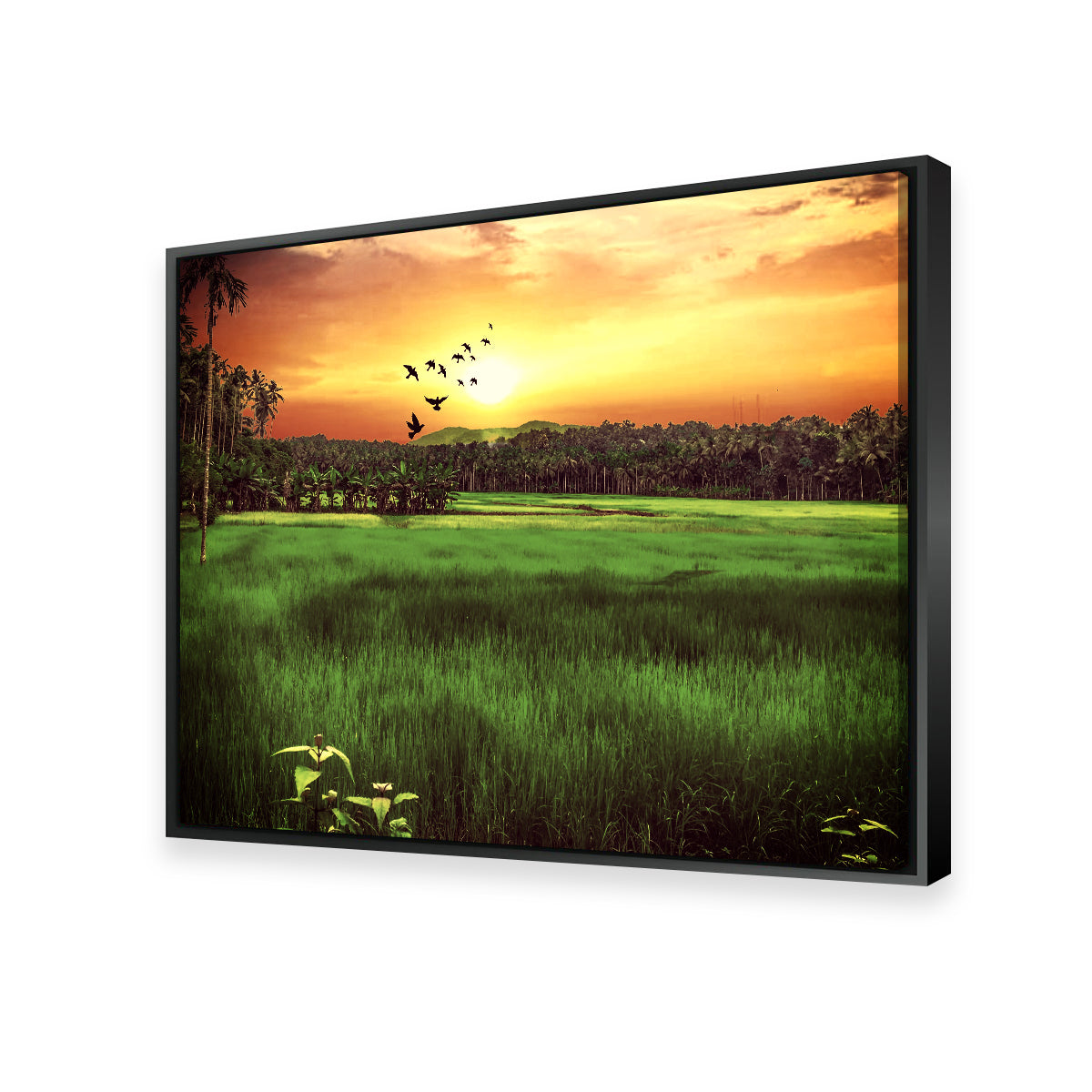 Sunset Landscape Wall Art