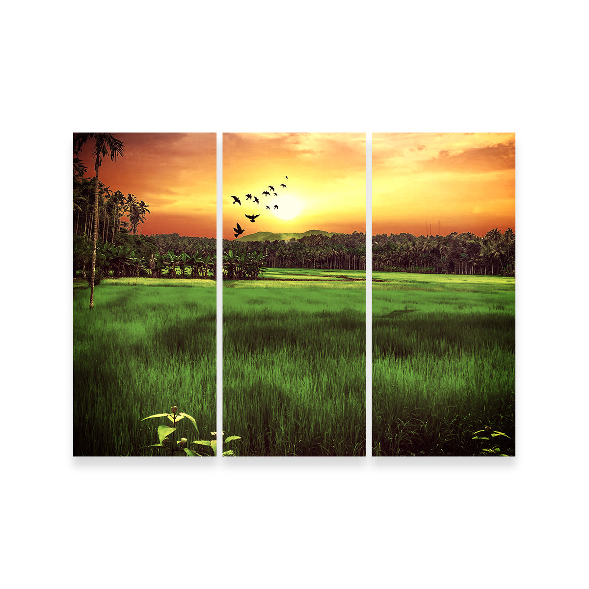 Sunset Landscape Wall Art