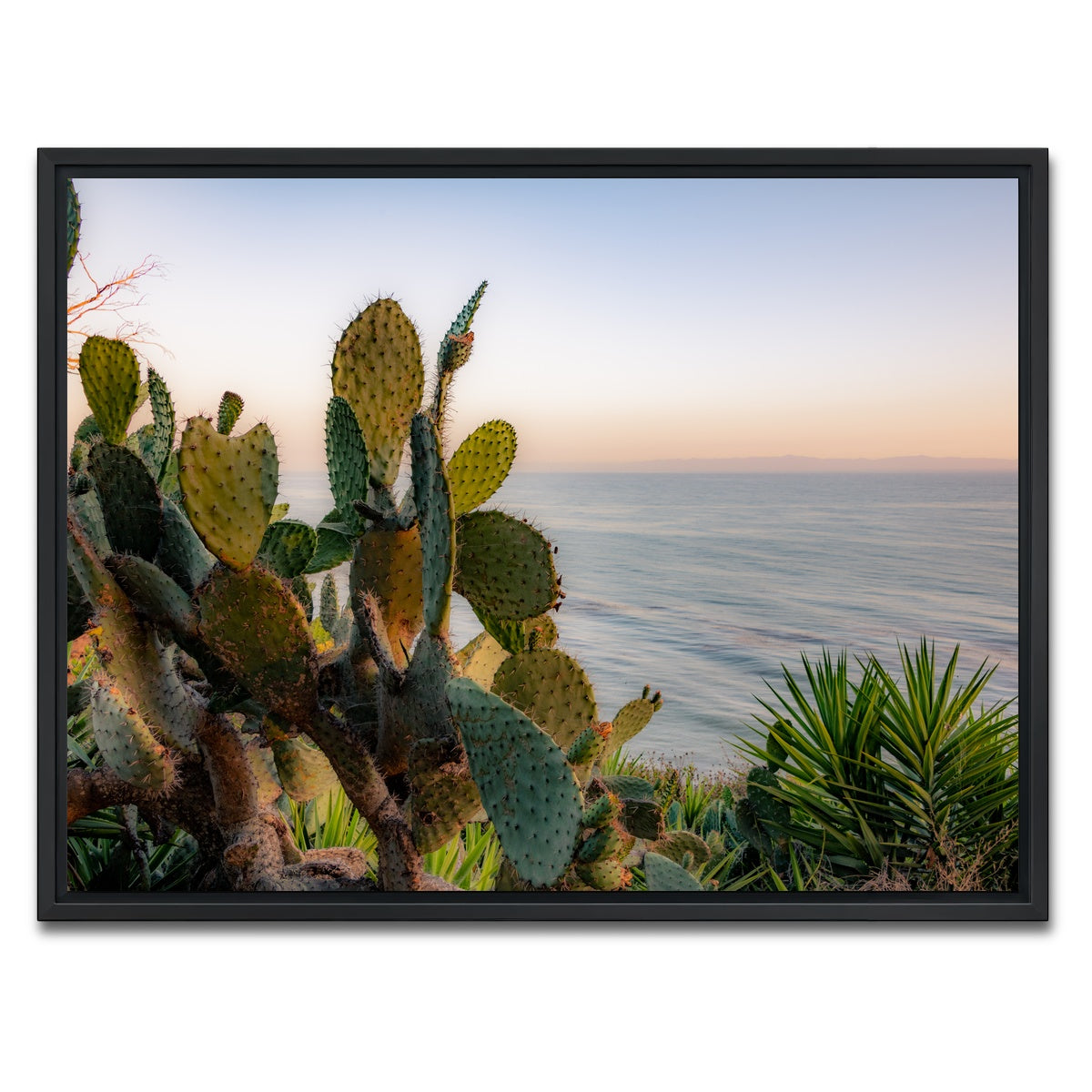 AUTO-MOCKUP WHITE | Sunset Cactus | 1 Piece | Black Framed Canvas | group=4x3