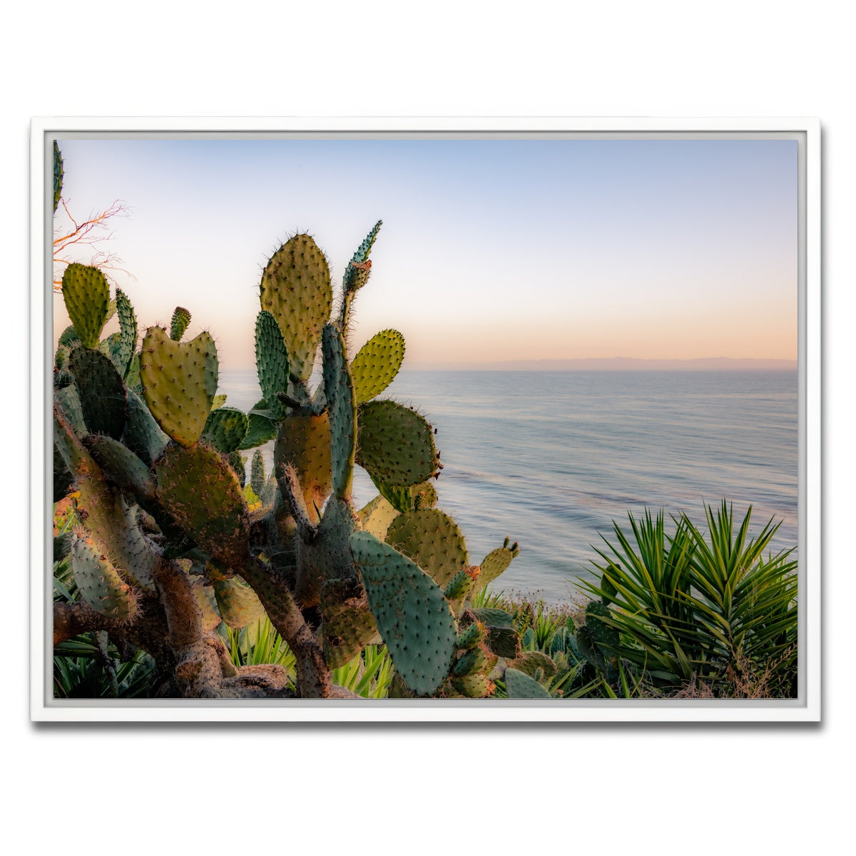 AUTO-MOCKUP WHITE | Sunset Cactus | 1 Piece | White Framed Canvas | group=4x3