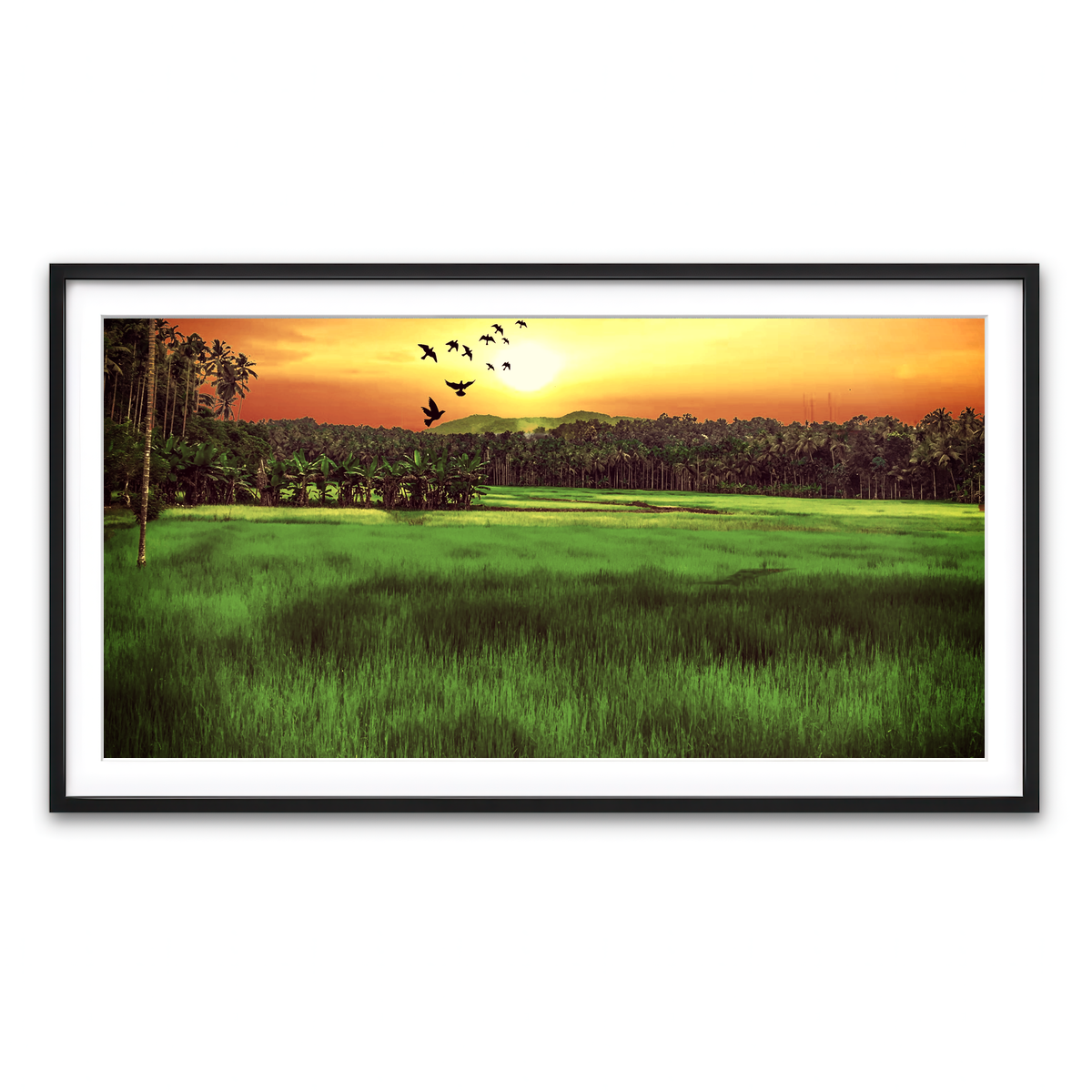 Framed Print 2x1 Black